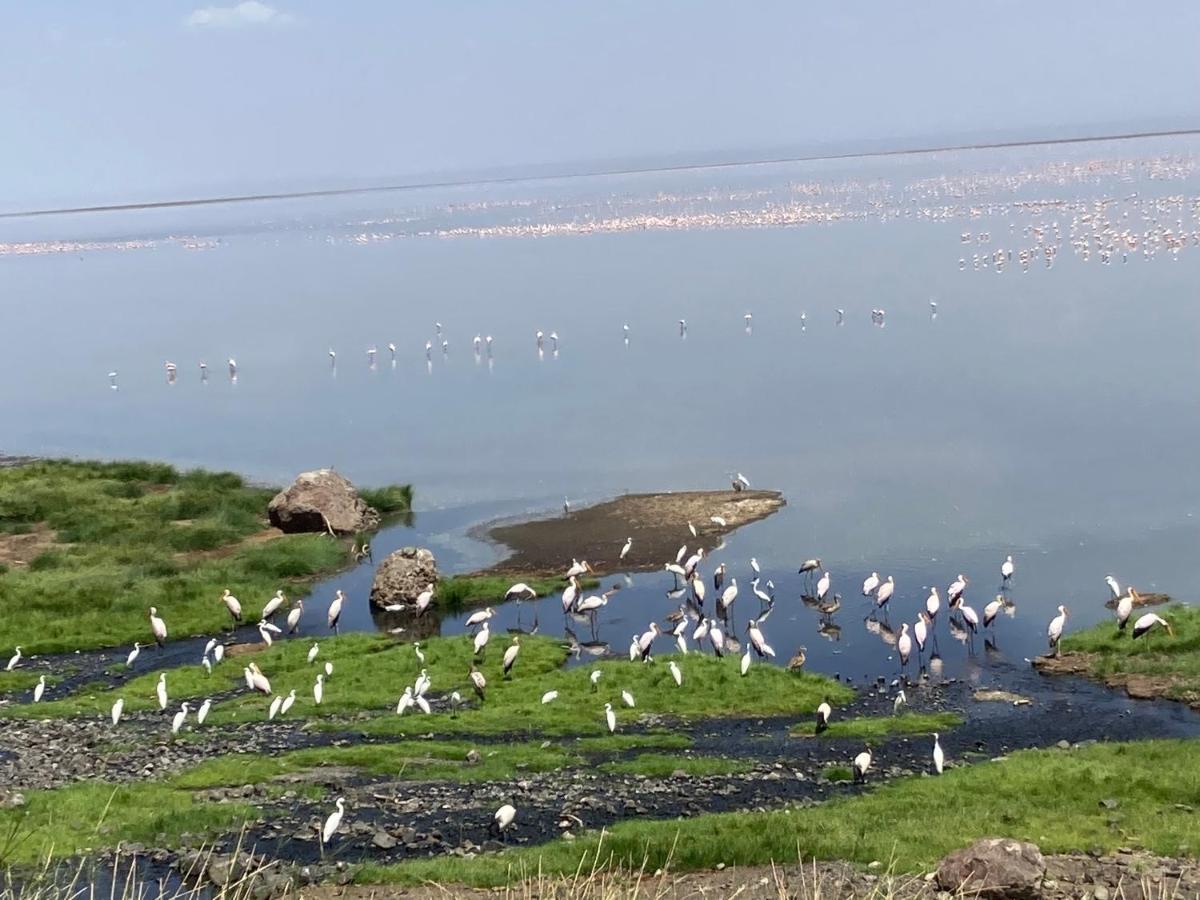 Lake Natron Maasai Guesthouse Mtowabaga Zewnętrze zdjęcie