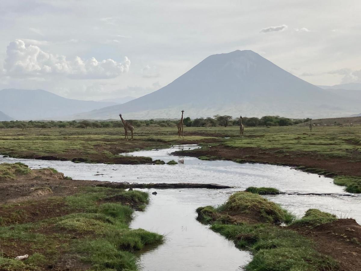 Lake Natron Maasai Guesthouse Mtowabaga Zewnętrze zdjęcie